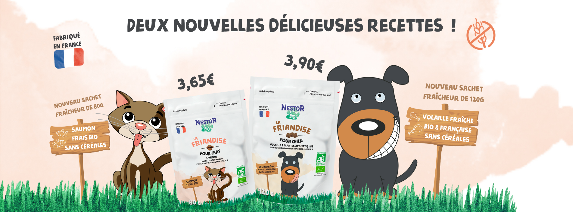 Nouvelles friandises 